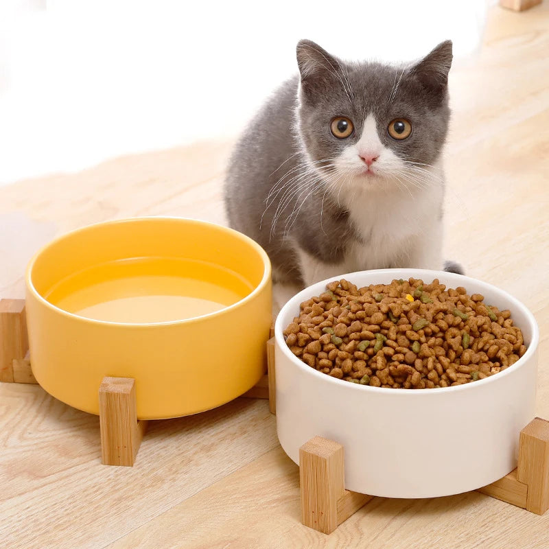 Ceramic Pet Bowl Cat Dogs Feeding Matted Elevated Dog Bowl Double Bowls Pet Food Water Feeder Wholesale Pet Manufacturer