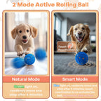 2026 New Interactive Dog Ball Rolls Randomly USB Rechargeable Automatically Rotate and Move Targets Suitable for All Dog Breed