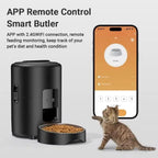 OEM 2L Button/WIFI Control Automatic Pet Feeder Smart Cat Feeder Pet Food Dispenser Cat Supplies Smart Pet Feeder Manufacturer