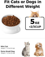 Elevated Cat Food Bowl 5 Oz Ceramic Raised and Tilted Water Bowl Anti Vomiting and Protect Pets' Spines Dishes for Small Dog Cat