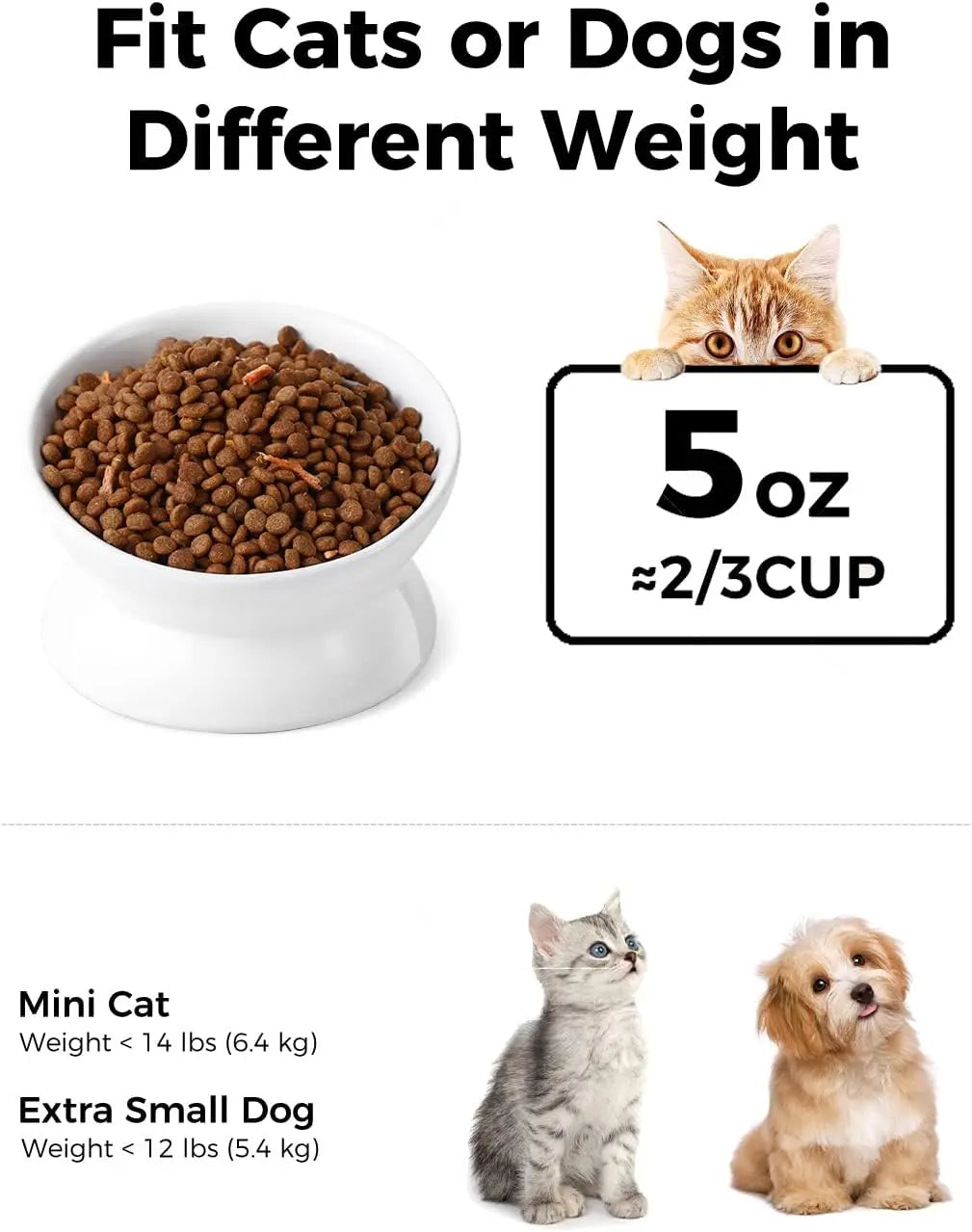 Elevated Cat Food Bowl 5 Oz Ceramic Raised and Tilted Water Bowl Anti Vomiting and Protect Pets' Spines Dishes for Small Dog Cat