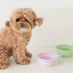 350ml Macaron Color Pet Portable Foldable Dog Bowl for Outdoor Travel Collapsible Dog Bowl Silicone Pet Drinking Water Bowls