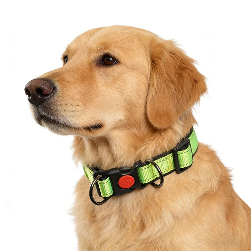 Reflective Personalized Dog Collar with Safety Locking Buckle Adjustable Nylon for Dogs-OEM Custom Logo