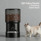 OEM 4L Automatic Cat Feeder with Camera 2.4G WiFi Pet Food Dispenser Smart Voice Recorder APP Control with Stainless Steel Bowl