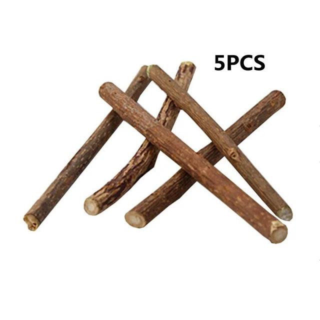 Fashionable Wood Molar Toothpaste Stick Natural Catnip Fruit Silvervine Cat Snacks for Pet Cat Teeth Cleaning Products