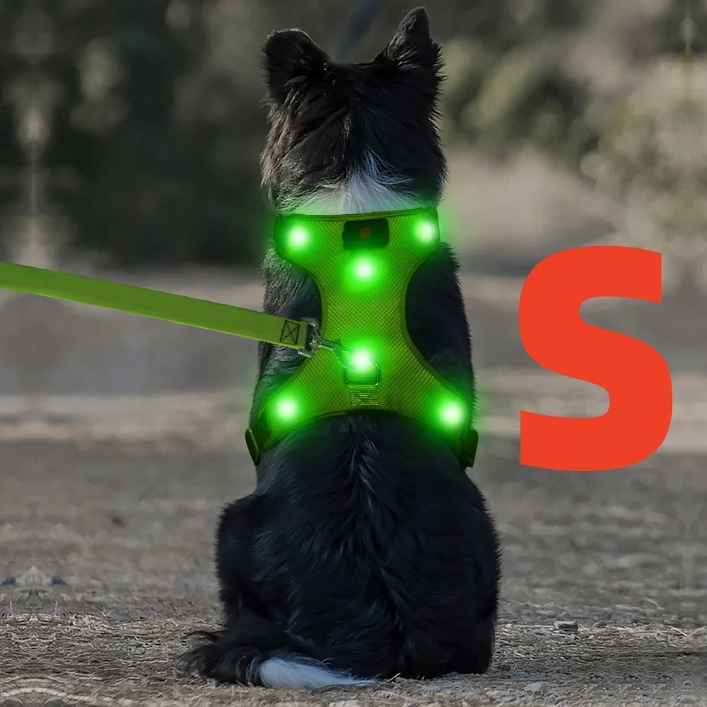 Light up LED Dog Harness No Pull Rechargeable Dog Vest with Detachable Battery Washable Nylon Harness for Small Medium Large Dog