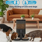 2026 New 4L/6L OEM Dual Bowls Automatic Cat Feeder with Camera TUYA APP Smart Pet Feeder Stainless Steel Bowl  for Muti Dogs Cat