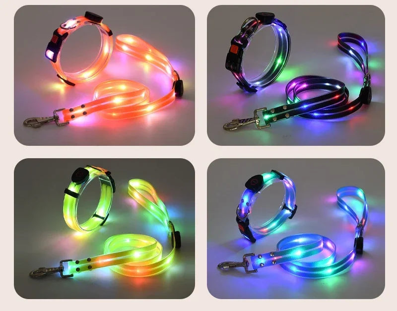 Rechargeable LED Dog Collar Leash Waterproof Glow-in-the-Dark Nylon Reflective Lights Light up Luminous Dog Walking Gear