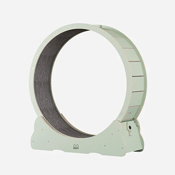 Cat Exercise Wheel Indoor Toy Cat Interactive Toys Large Cat Running Wheel with Carpeted Runway Pet Supplies