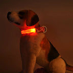 USB Rechargeable Dog Collar Light Luminous Flashing Glowing Bright Nylon Electronic Pet Reflective LED Dog Collar Night Safety
