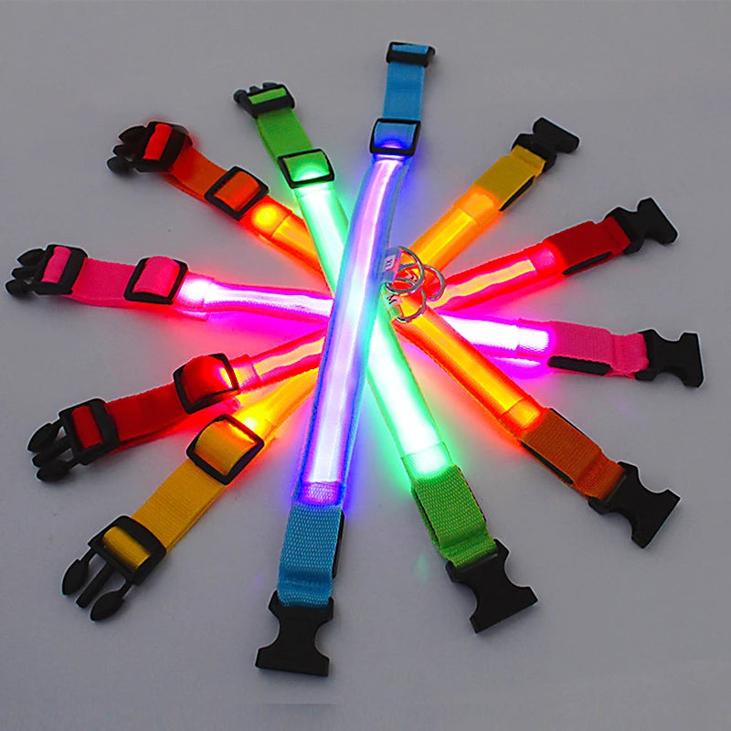 Nylon LED Pet Dog Collar Night Safety Flashing Glow in the Dark Dog Leash Dogs Luminous Collars Pet Supplies OEM Custom LOGO