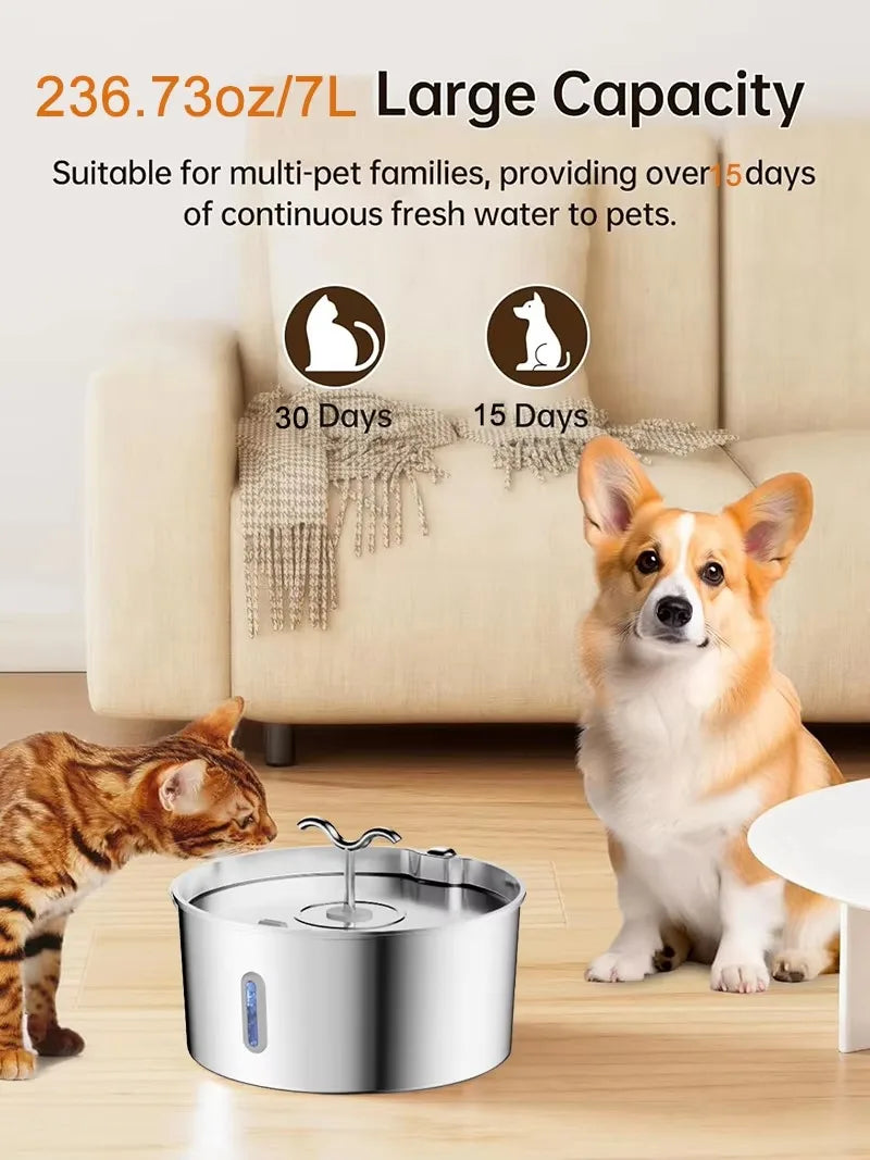 OEM 7L Large Capacity Stainless Steel Automatic Cat Water Fountain for Multi-Cats Dogs with Filtration Pet Water Dispenser