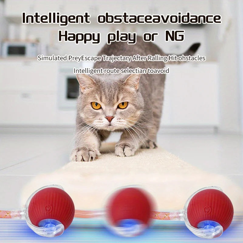 Interactive Cat Toy Ball with Replaceable Tail Automatic Moving Cat Toys Indoor Electric Interactive Rolling Ball for Dog Cat
