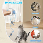 2026 New Interactive Cat Toys Indoor Remote Control Automatic Electric Cat Toy Best Kitten Adult Cat Hanging Exercise Toys Cat