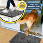 Microfiber Dog Door Mat for Indoor Outdoor Quick Dry Chenille Entryway Carpet Non-Slip Absorbent for Summer Winter Soft Pet Rug