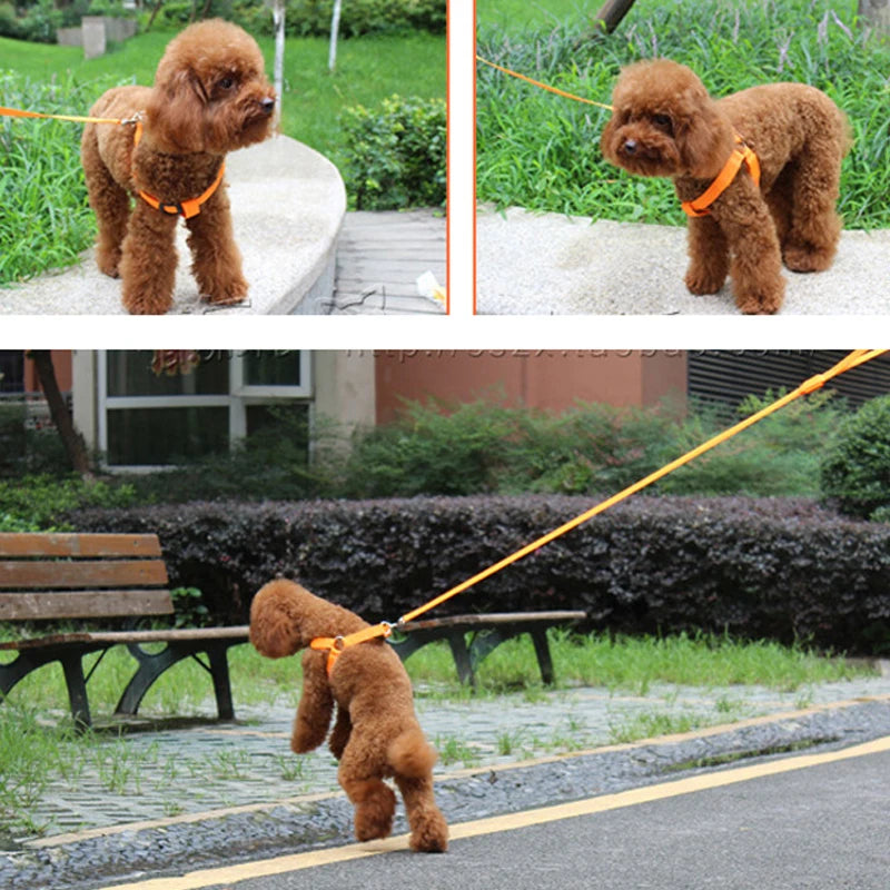 Adjustable LED Dog Harness No Pull Small Medium Glowing Nylon Breast Band Night Safety Pets Dog Accessories