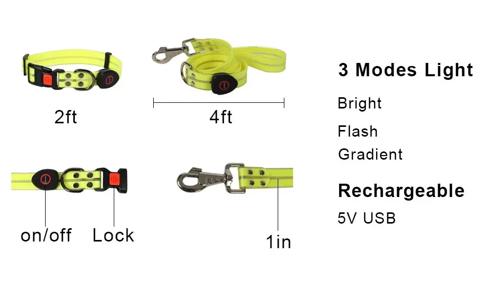 Rechargeable LED Dog Collar Leash Waterproof Glow-in-the-Dark Nylon Reflective Lights Light up Luminous Dog Walking Gear