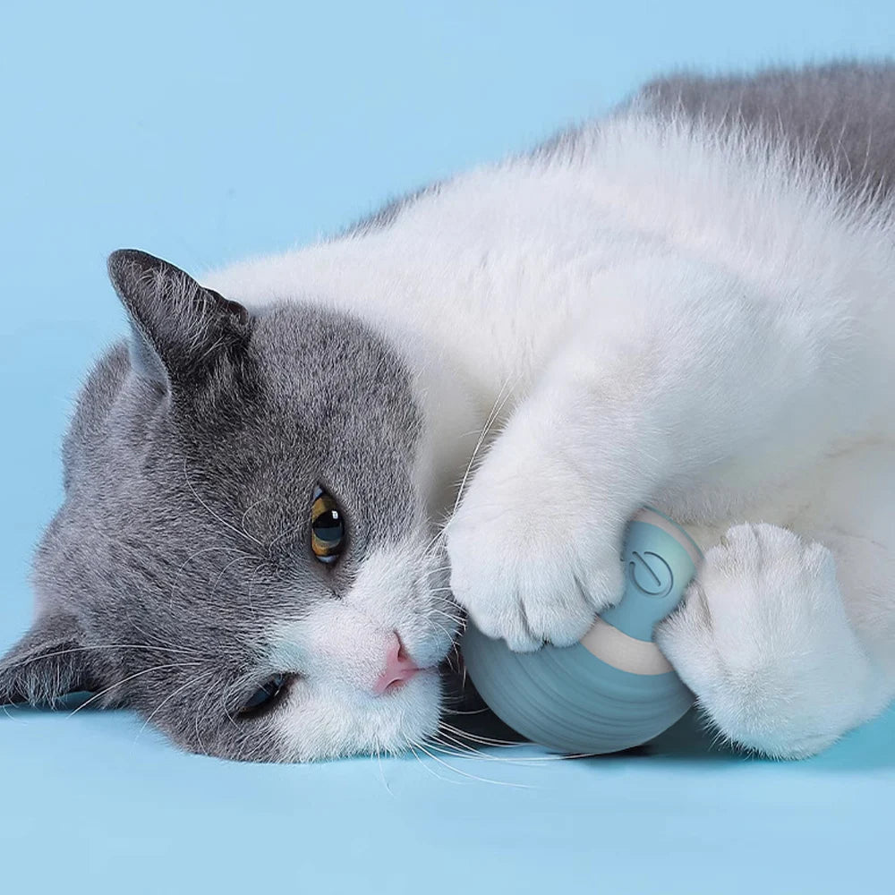 Interactive Cat Ball Smart Cat Dog Toys Electronic Interactive Cat Toy Indoor Automatic Rolling Magic Ball Game Accessories