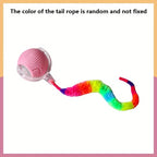Automatic Rolling Cat Ball Toy with LED Lights Colorful Tail USB Rechargeable Fits All Cat Sizes Indoor Interactive Cat Toy