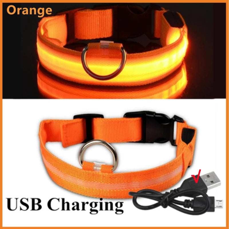 LED Glowing Dog Collar Adjustable Flash Recharge Luminous Collar Night Anti-Lost Dog Light for Small Dog Electronic Pet Products