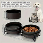 Ceramic Dog Bowls Set Stainless Steel Pet Feeder with Holder Double Bowls for Cats and Small Dogs