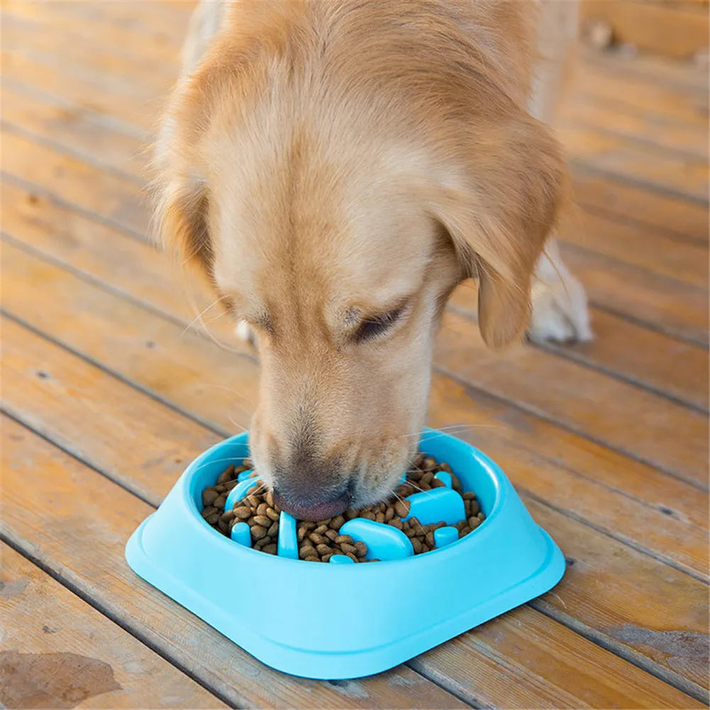 Pet Slow Feeder Dog Bowl Pet Feeding Bowls Cat Dog Slow Down Feeders Bowls for Pets Cats Food Dish Dog Supplies