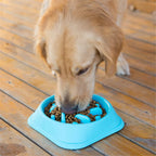 Pet Slow Feeder Dog Bowl Pet Feeding Bowls Cat Dog Slow Down Feeders Bowls for Pets Cats Food Dish Dog Supplies