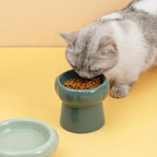 Elevated Ceramic Pet Bowls Keep Your Dog or Cat Hydrated and Well-Fed Neck Protection Cat Food Bowls