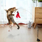 Funny Cat Toy Feather With Bell Sucker Cat Stick Toy Kitten Play Interactive Detachable Teaser Dog Training Toys Cat Supplies