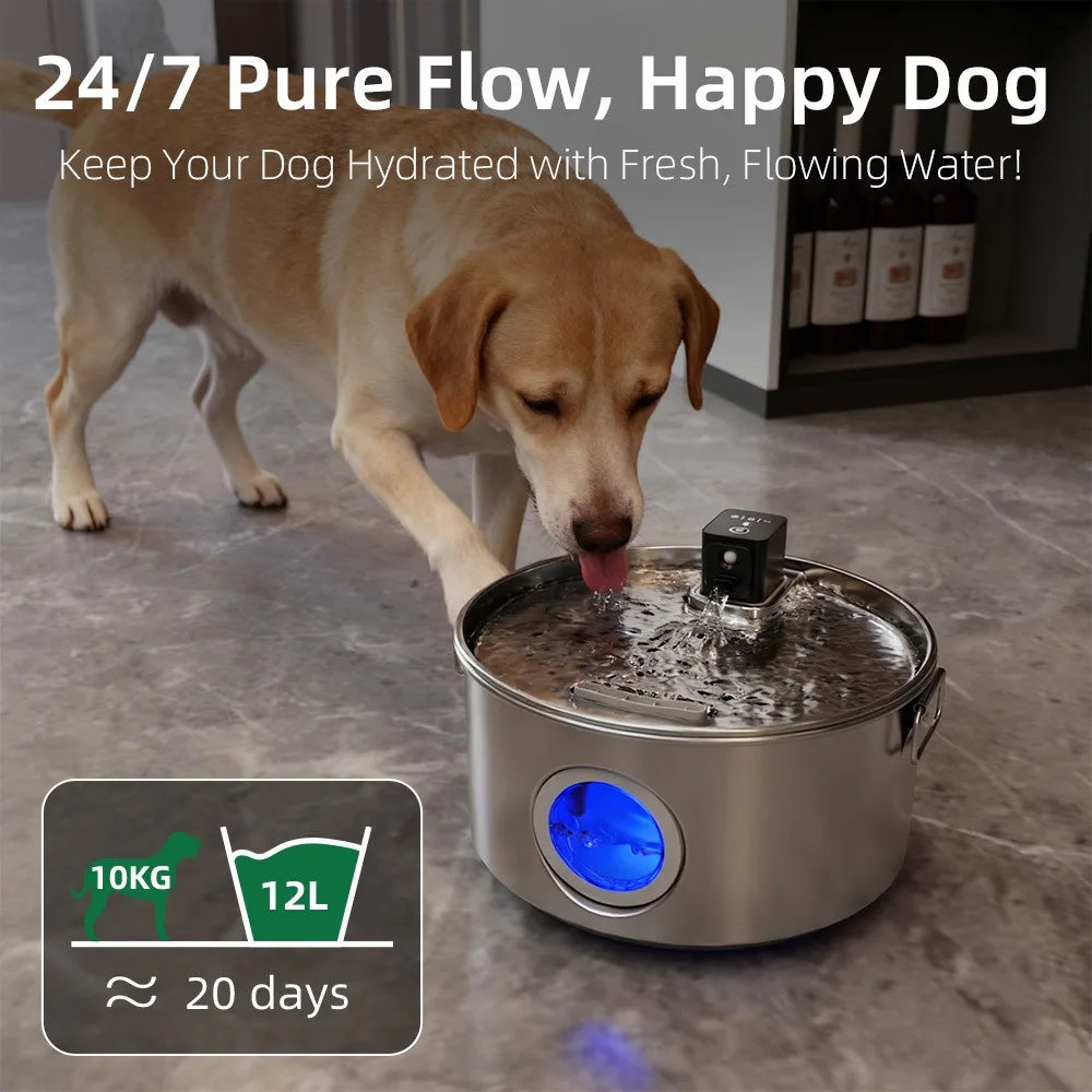 12L Large Dog Water Fountain Stainless Steel 4000mah Wireless Quiet Pet Cat Water Fountain with Motion Sensor for Multi Dogs Cat