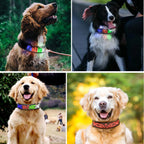 Customizable LED Display Dog Collar Designer Striped Rechargeable Night Luminous Adjustable Anti-Lost Safety Collar Made Nylon