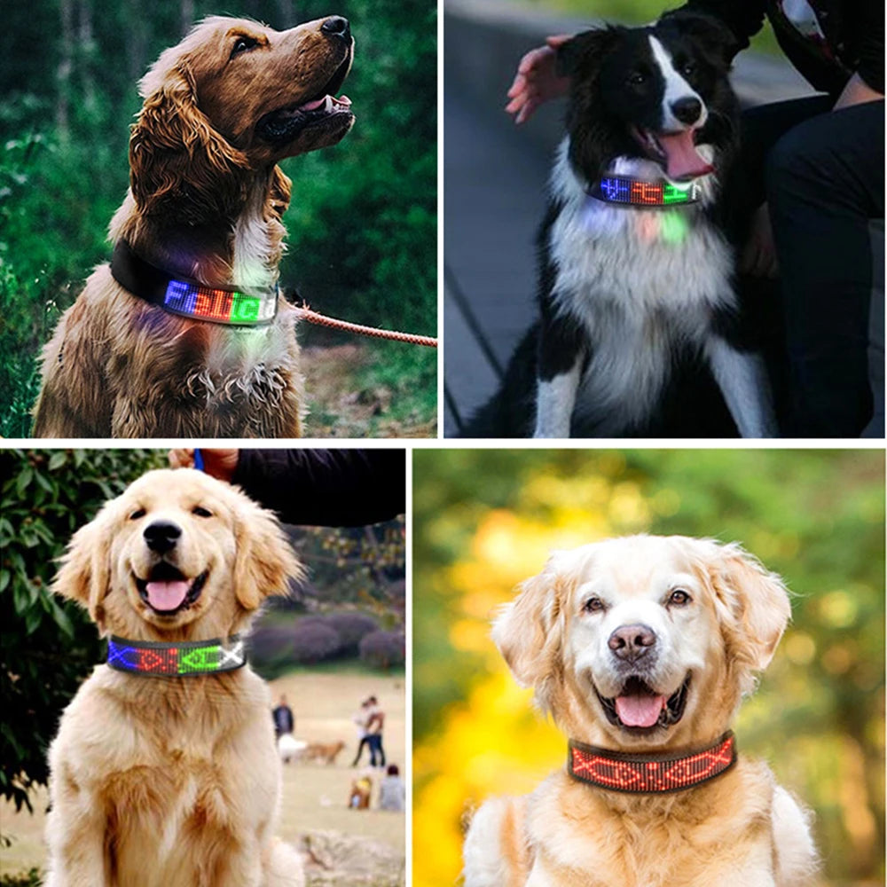 Customizable LED Display Dog Collar Designer Striped Rechargeable Night Luminous Adjustable Anti-Lost Safety Collar Made Nylon