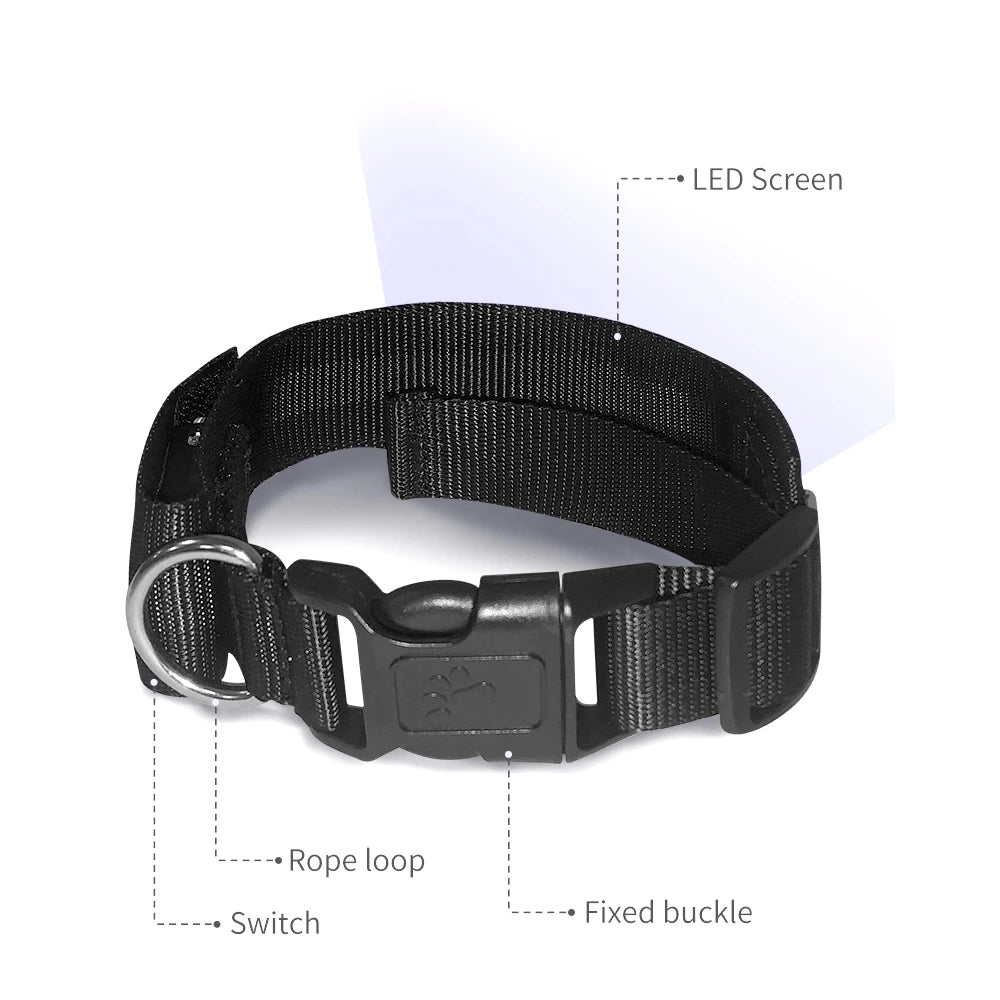 Customizable LED Display Dog Collar Designer Striped Rechargeable Night Luminous Adjustable Anti-Lost Safety Collar Made Nylon