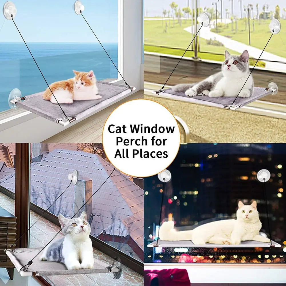 Double Layers Cat Hammock Window Indoor Cats Seat Shelves Kitten Limbing Frame Strong Suction Cups Bearing 25kg Cat Products