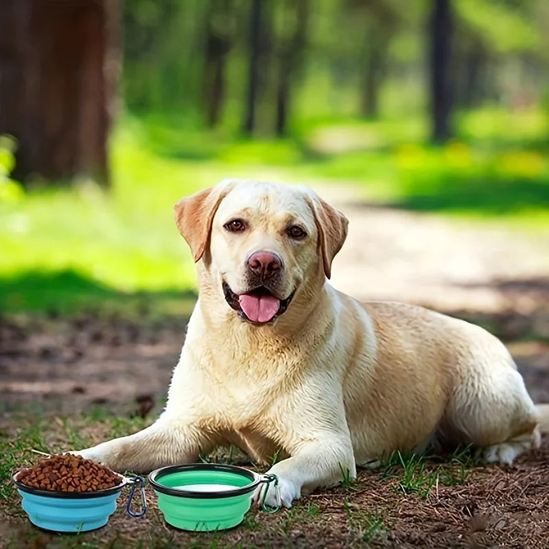 Collapsible Dog Bowl Foldable Pet Bowl with Lid Dog Travel Bowl Portable Foldable Cat Feeder for Pet Walking Parking Camping