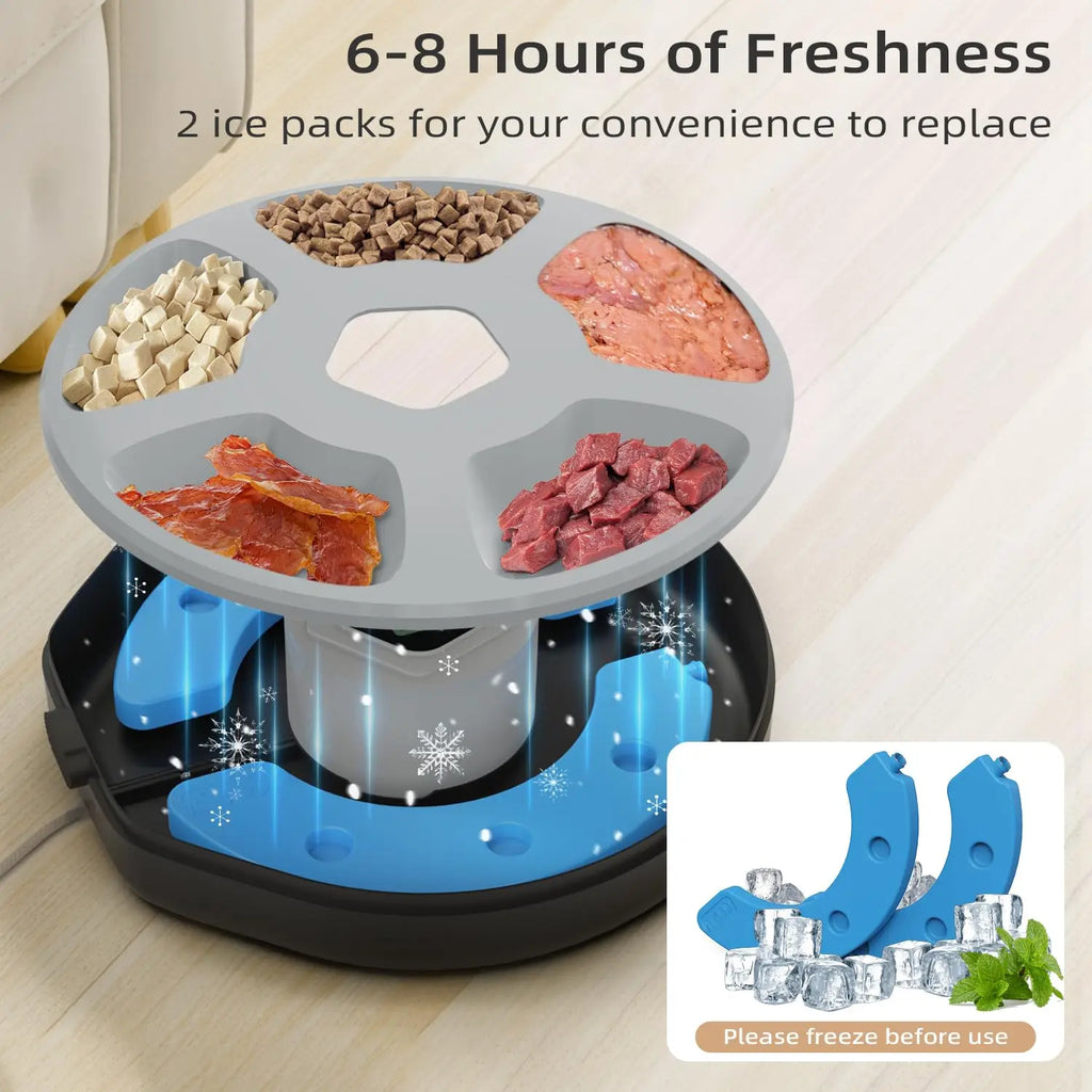 1.3L Automatic Pet Feeder Dog Food Dispenser with Programmable Timer 5-Meals Automatic Dog Feeder for Medium Large Cats Dogs