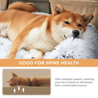 Luxury Large Dog Bed Sleep Deeper Human Dog Bed Soft Sponge Plush Foam Dog Products Detachable and Washable OEM Dropshipping