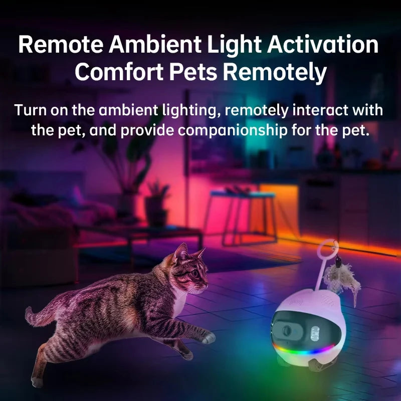 Battery-Operated Pet Toys with Pulley and Camera 4G WIFI Dual Mode Smart Wireless Motion Detection Indoor Interactive Cat Toys