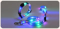 Rechargeable LED Dog Collar Leash Waterproof Glow-in-the-Dark Nylon Reflective Lights Light up Luminous Dog Walking Gear