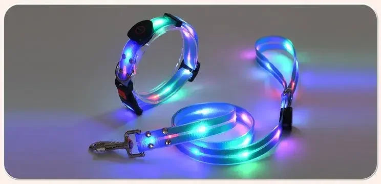 Rechargeable LED Dog Collar Leash Waterproof Glow-in-the-Dark Nylon Reflective Lights Light up Luminous Dog Walking Gear