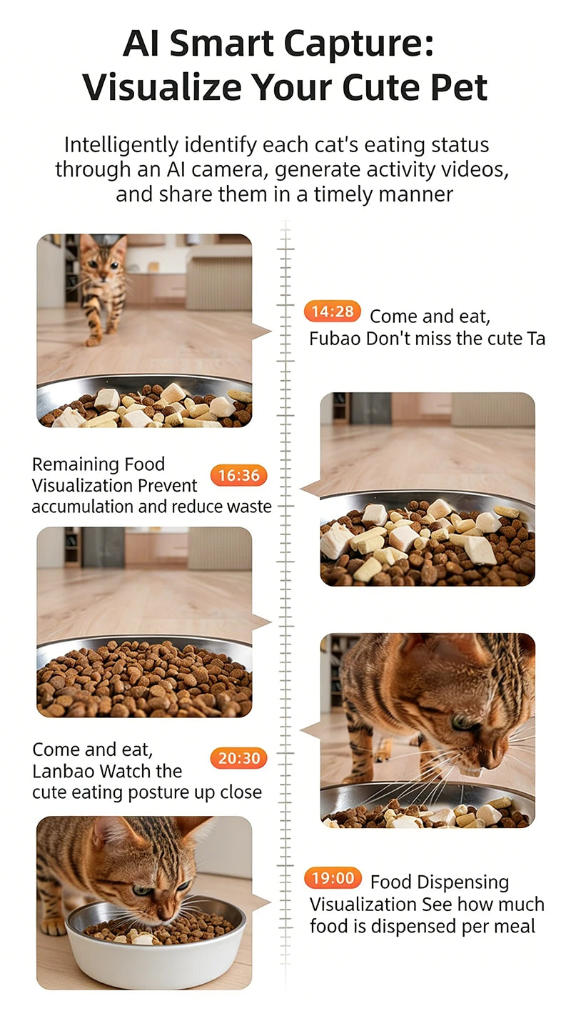 2026 OEM 4L Automatic Pet Feeder with Camera Smart Pet Feeder Mult-Cats AI Identification Generate Comics Dog Dry Food Dispenser