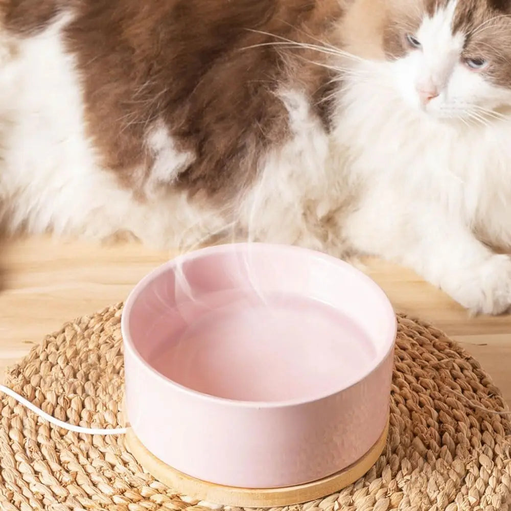350ml Heated Drinking Bowl for Cats USB Heated Ceramic Cat Bowl Thermostat for Food and Water Suitable for All Types of Cats