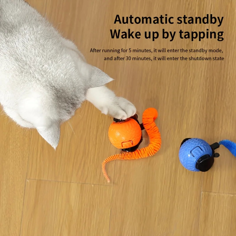 Interactive Rolling Cat Ball Toy Automatic Rolling Motion Rechargeable Indoor/Outdoor Play for All Cat Pet Exercise Toys