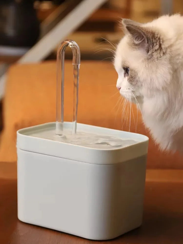 Wholesale 1.5L Automatic Eco-Friendly Plastic Pet Water Dispenser Fountain with Filter for Cats Indoor Use