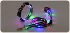 Rechargeable LED Dog Collar Leash Waterproof Glow-in-the-Dark Nylon Reflective Lights Light up Luminous Dog Walking Gear