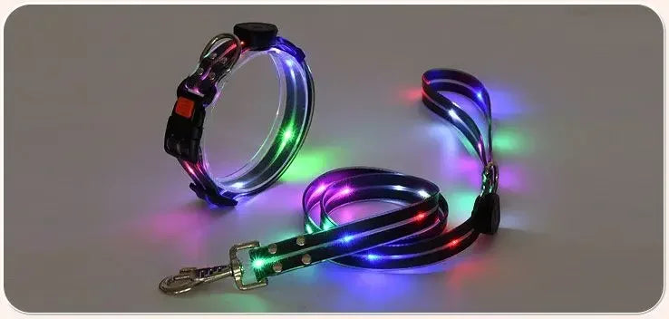 Rechargeable LED Dog Collar Leash Waterproof Glow-in-the-Dark Nylon Reflective Lights Light up Luminous Dog Walking Gear