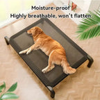 Large Breathable Mesh Dog Bed Off-The-Ground Moisture-Proof with Removable Washable Feature Universal Camp Pet Bed for Summer