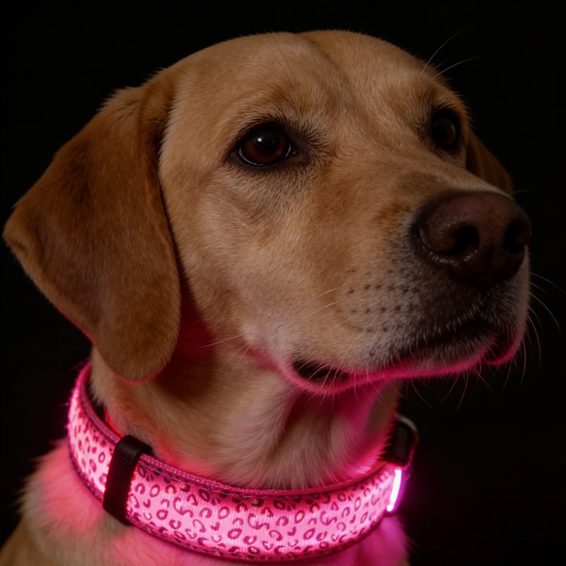 Adjustable Nylon LED Dog Collar Luminous Leopard Print Glowing Lights Electronic Pet Collars Night Safety Flashlight LED Collars