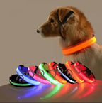 Nylon LED Pet Dog Collar Night Safety Flashing Glow in the Dark Dog Leash Dogs Luminous Collars Pet Supplies OEM Custom LOGO