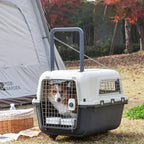 Luxury Large Pet Trolley Case Portable Plastic Dog Carrier Flight Crate with Large Capacity for Travel Cage